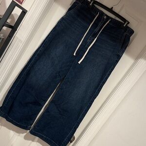 American Eagle Outfitters Low Rise Baggy Wide Leg